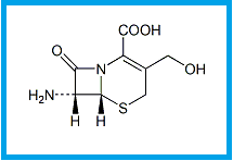 CEFTRIAXONE 7-ADCA IMPURITY  